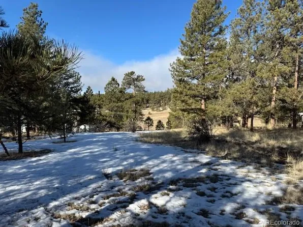 267 Rhyolite Lane, Florissant, CO 80816