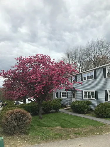 5 Dora Dr Photo 1