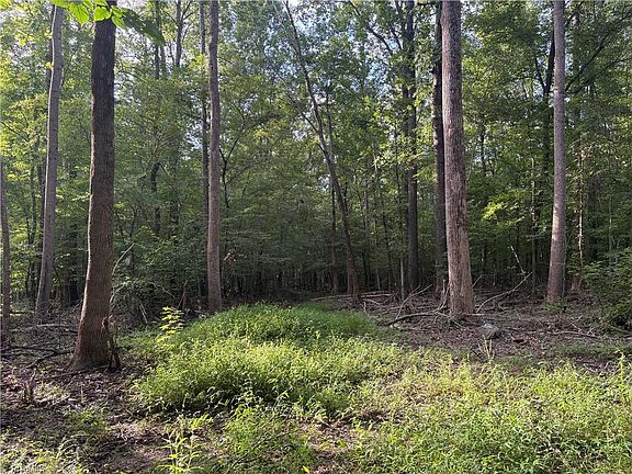 2nd image of 7149 Nature Rd