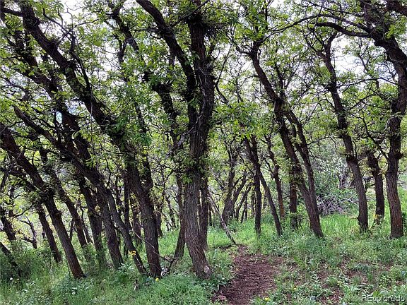 5th image of 00000 County Road 46