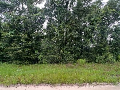 Tbd 204th Ter, Wellborn, FL, 32094