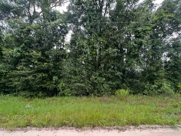 Tbd 204th Ter, Wellborn, FL 32094