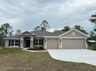 10407 Mahoning Ave, Weeki Wachee, FL 34614