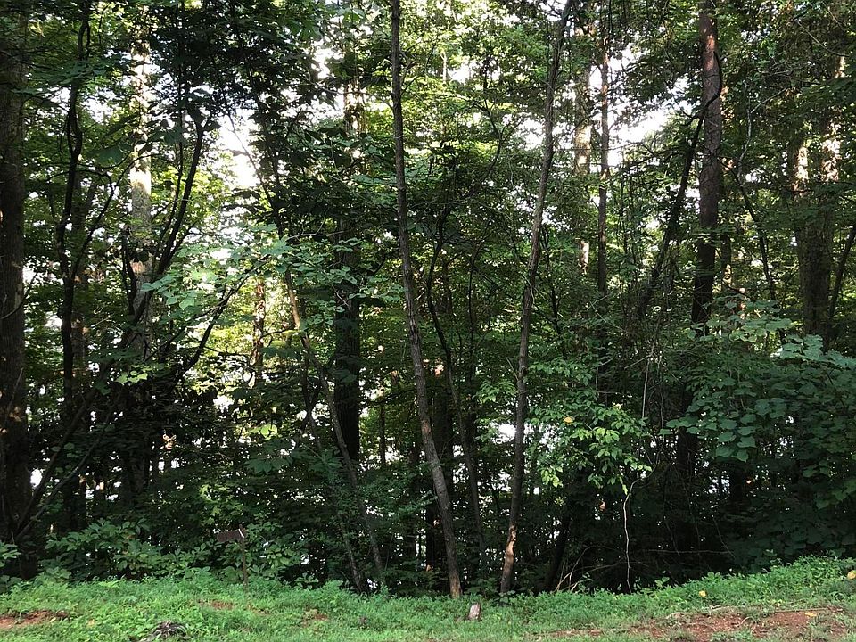 2nd image of Arnold Cir