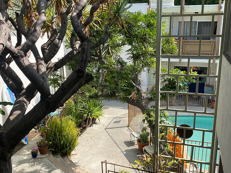 1538 Franklin St #B — Photo 8