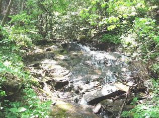 599 Bushy Head Rd, Cherry Log, GA 30522