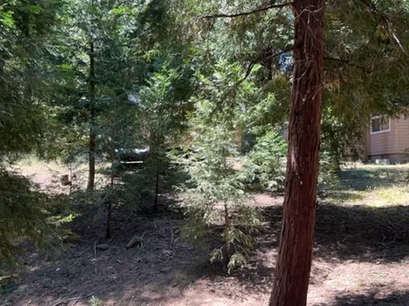 0 Mozumdar Dr, Cedarpines Park, CA 92322