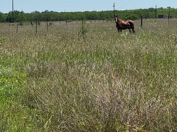 4th image of 2731 Atascosa County Road 101 LOT 12