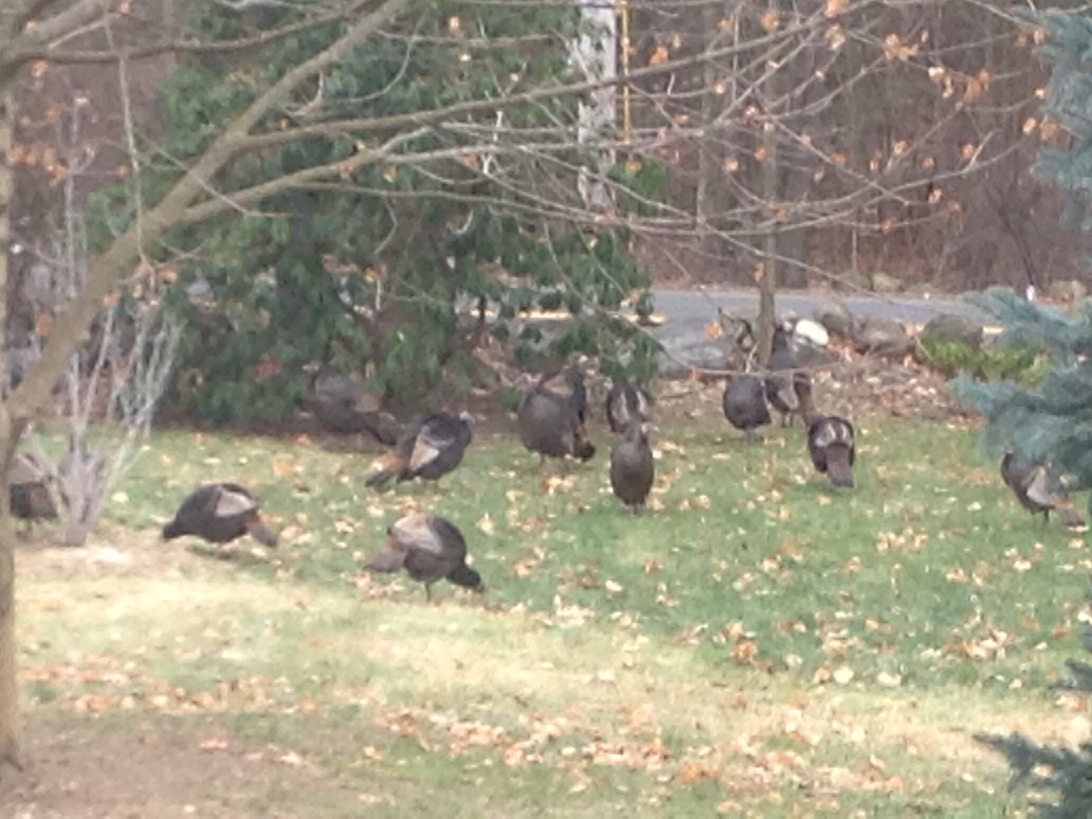 119 Dayton St, Danvers, MA 01923 Zillow