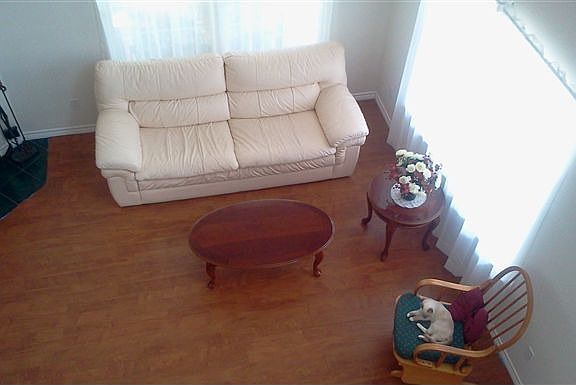 5th image of 303 Taylor Dr