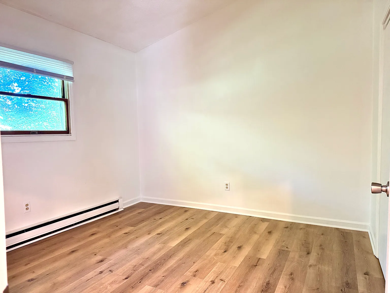 2 bed, 800 sqft, $1,250 — Photo 4