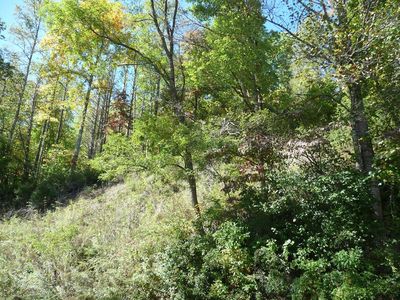 0 Wayah Rd #3, Topton, NC, 28781