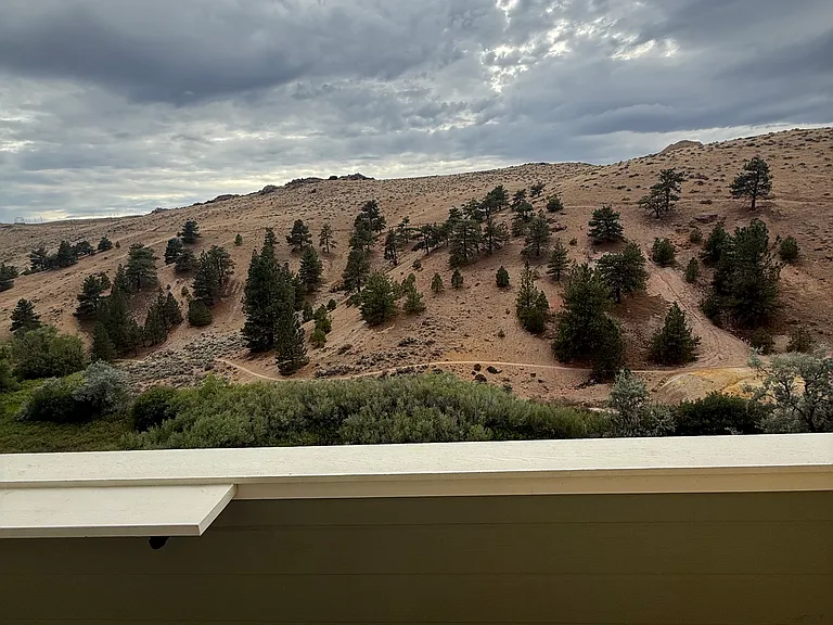 645 Madeline Jane Ln — Photo 6