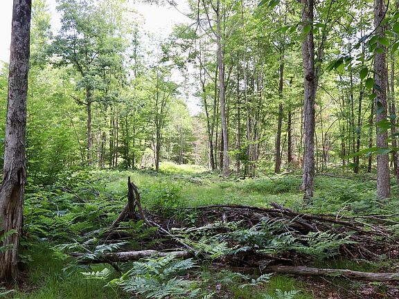 4th image of E Long Lake Rd #V/l