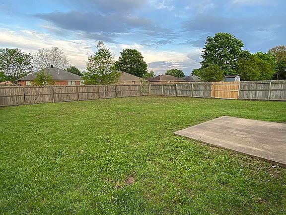Back Yard 3