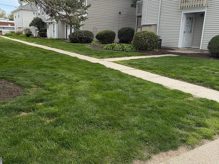 93 Park Ave #403 — Photo 32