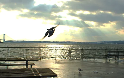 Rented by Norman Raindel, LREB