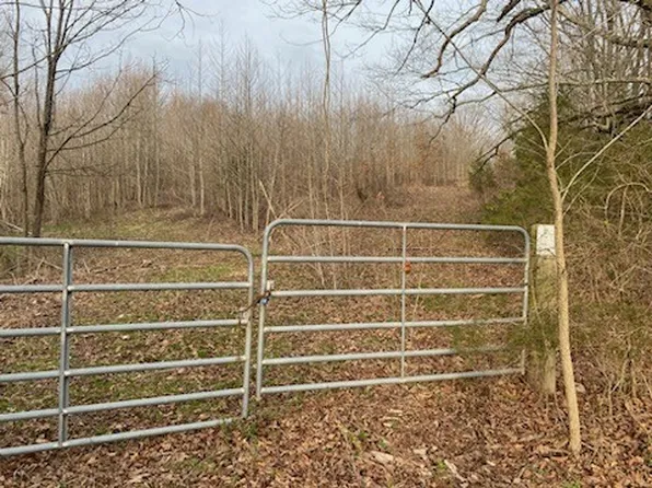 0 Junus Jackson Rd, Minor Hill, TN 38473