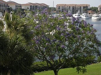 5th image of 1201 Seafarer Cir APT 404