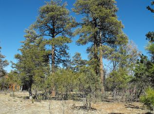 5700 Teton Way, Happy Jack, AZ 86024