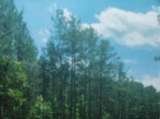 Puncheon Creek Dr, Andrews, SC 29510