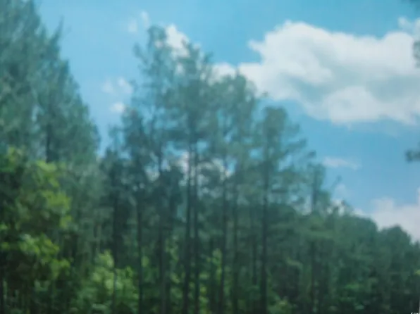  Puncheon Creek Dr., Andrews, SC 29510