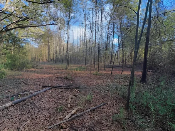 County Road 317 S, Henderson, TX 75654