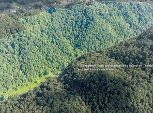 Cliff Rd, North Tazewell, VA 24630