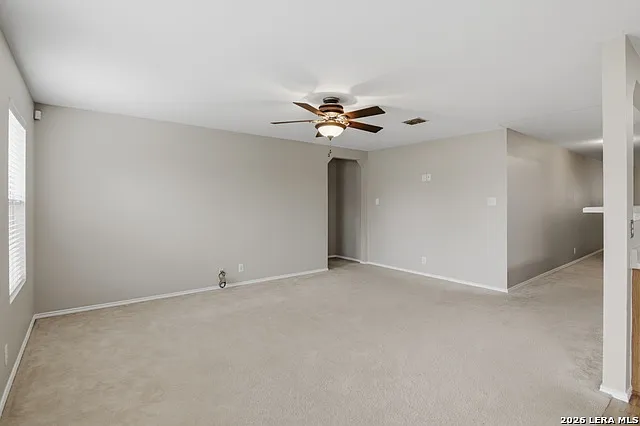 25537 Gold Yarrow — Photo 24