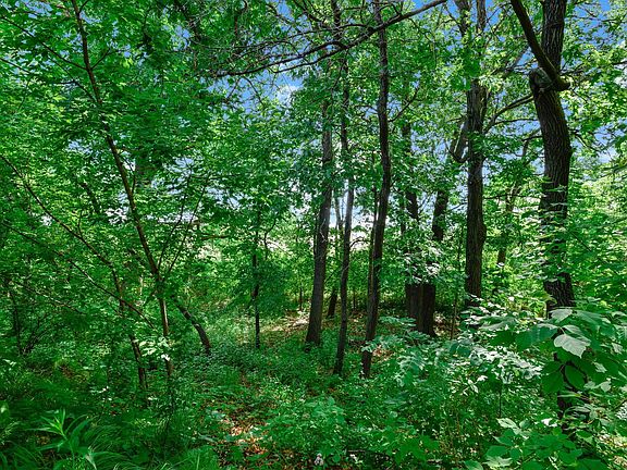 3rd image of 562 Deer Ridge Ln S