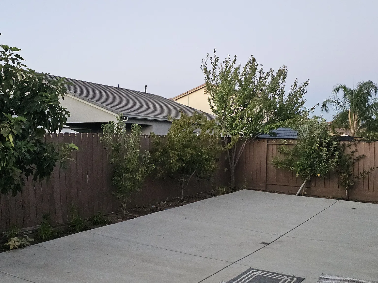 133 Ash Renee St — Photo 3