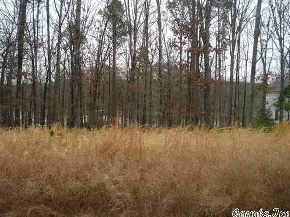 14 Silver Shores Ln, Drasco, AR 72530