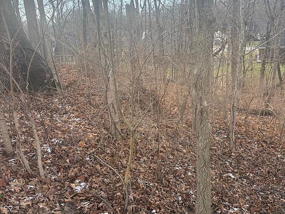 5th image of 6960 Mockernut Ct