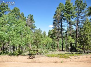 1271 Rangeview Rd, Divide, CO 80814