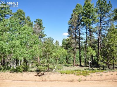 1271 Rangeview Rd, Divide, CO, 80814