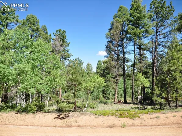 1271 Rangeview Rd, Divide, CO 80814