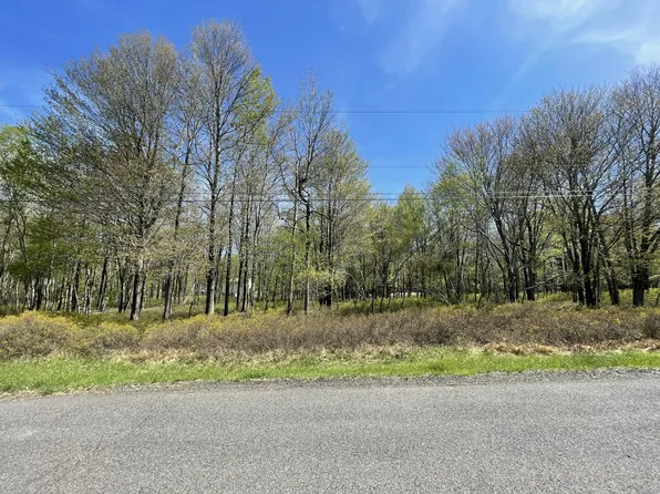 Forest Hill Dr, Blakeslee, PA 18610