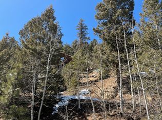 31317 Kings Valley W, Conifer, CO 80433