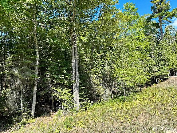 4th image of W Hemlock Views Trl Lot 21 & 22