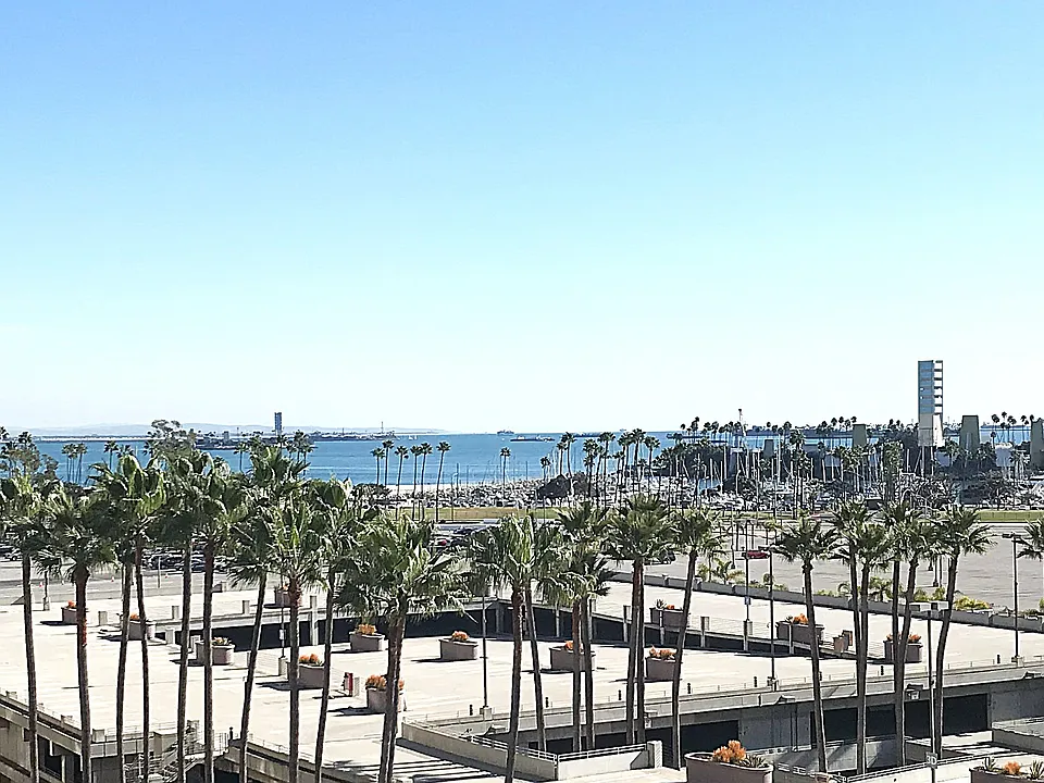 View from Balcony
