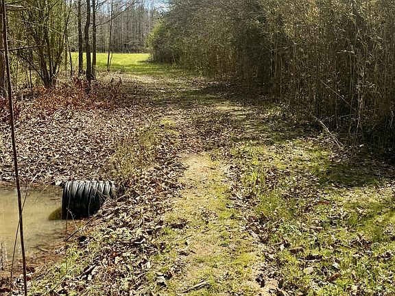 4th image of State Highway 35