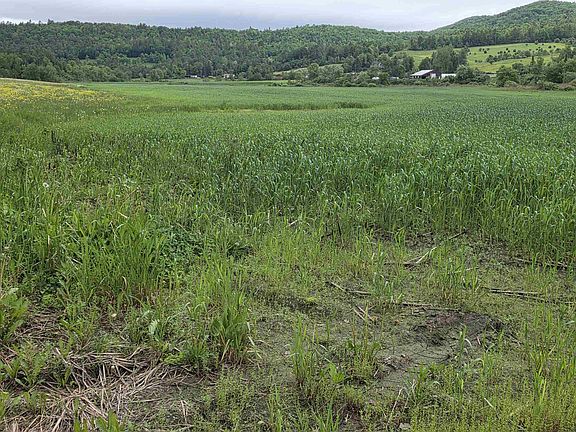 2nd image of 0 Old Concord Road