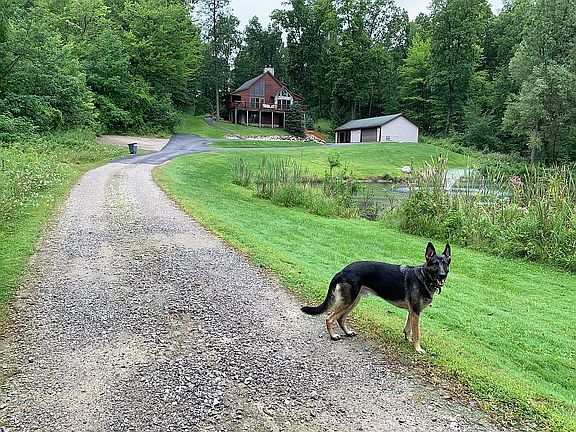 3rd image of 213 Corey Ln