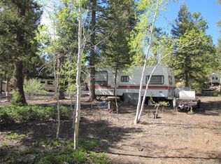 67 Tie Way, Hartsel, CO 80449