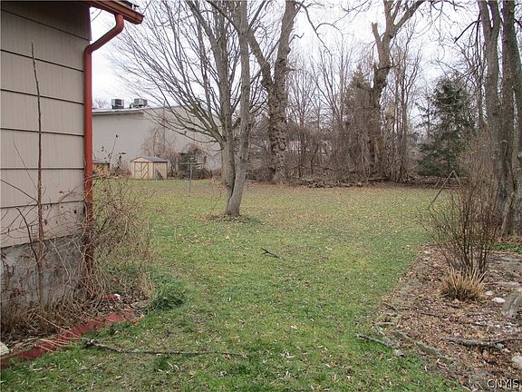 5th image of 113 Elton Ave