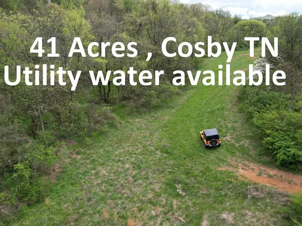 Bogard Rd, Cosby, TN 37722