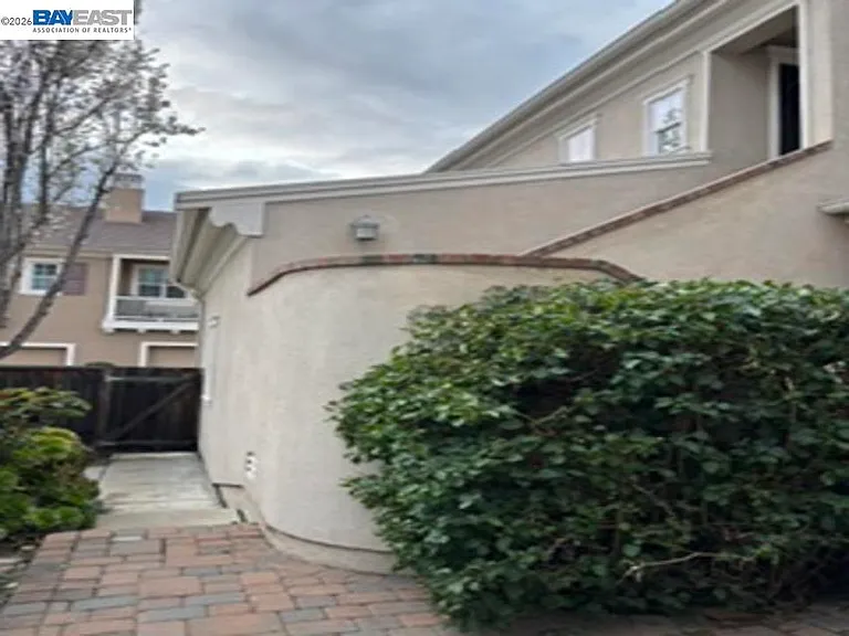 Sweetviolet Dr — Photo 15