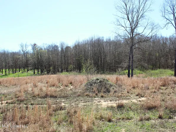 13135 Pebble View Dr, Byhalia, MS 38611