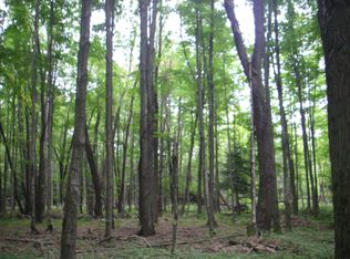 Tyler Rd, Fife Lake, MI 49633