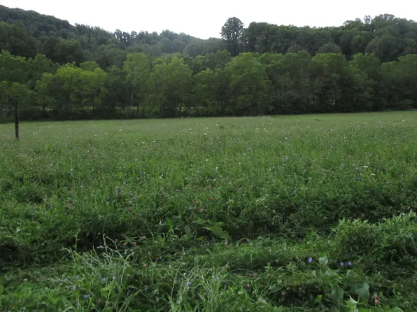 Buck Creek Rd, Roan Mountain, TN 37687